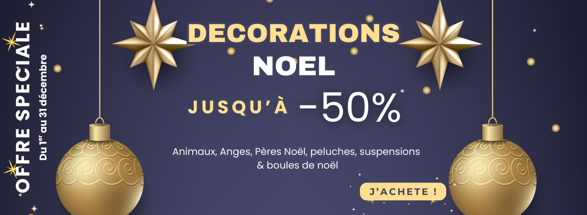 OFFRES NOEL