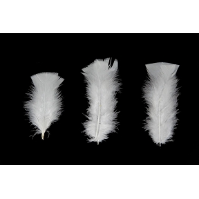 Plumes blanche 45 grs (boite)