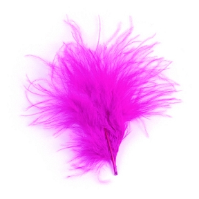 Plumes  fuchsia 45 grs (boite)