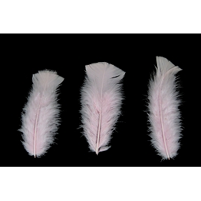 Plumes rose pale 45 grs (boite)