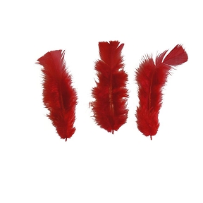 Plumes rouge 45 grs (boite)