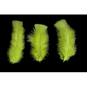 Plumes vert pomme 45 grs (boite)