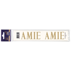 Pochette " AMIE"