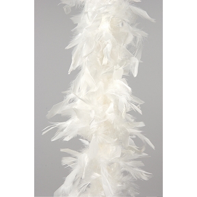Guirlande plumes 