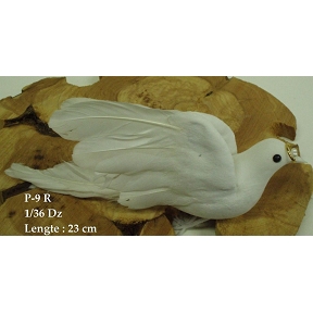 Colombes avec anneau 23 cm (x12)  