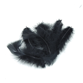 Plumes noires 45 grs (boite)