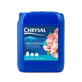 Chrysal clear professional 2 concentré  5 l