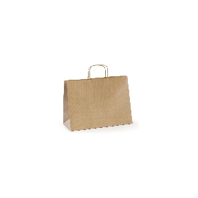 Sac kraft naturel 31 x 14 cm Ht 29.5cm (x 50)