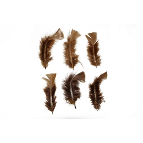 Plumes chocolat 45 grs (boite)