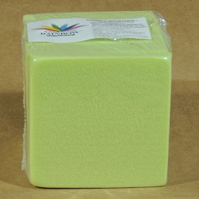 Plaque mouillable mini rainbow vert anis 10 x 10 x 1 ( x 10 )