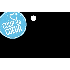 ARDOISE FLEURS "COUP DE COEUR"+ TIGE 60 CM (x10)
