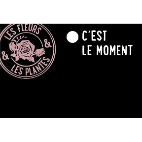 ARDOISE FLEUR "C'EST LE MOMENT" +TIGE 30 cm (x10)