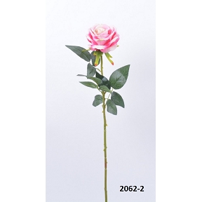Rose rose