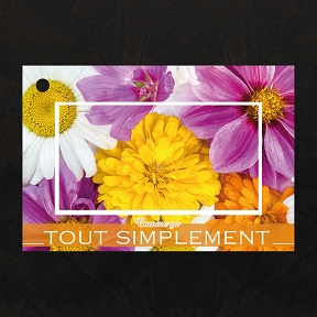 Cartes jeso "comme ça tout simplement" x 10