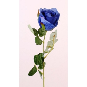 Rose bleue