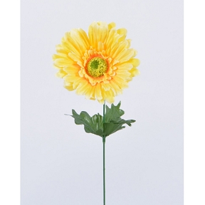 Gerbera jaune