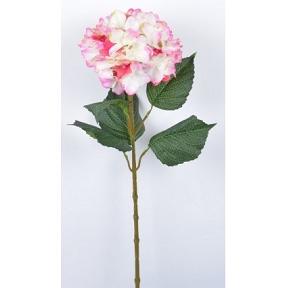 HORTENSIA ROSE PALE