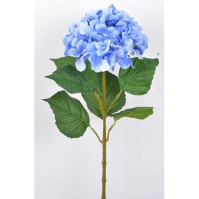 Hortensia bleu 80 cm