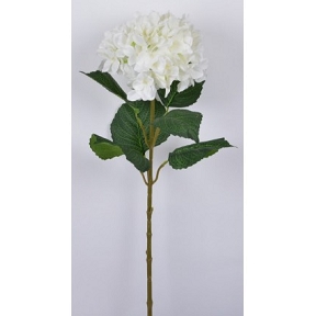 Hortensia blanc 80 cm