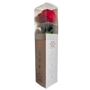 Rose stabilisee tige amorosa garden gift box rouge