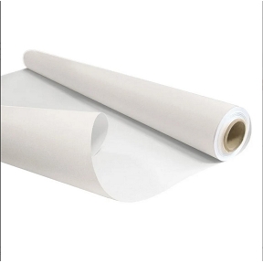 Kraft double 0,80x40m neutre blanc