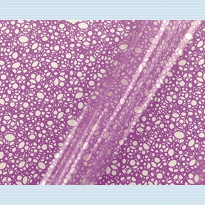 RL imp filets 70cmx50cm Lavanda