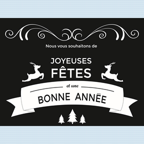 Bannière vitrine "joyeuses fêtes, bonne année"