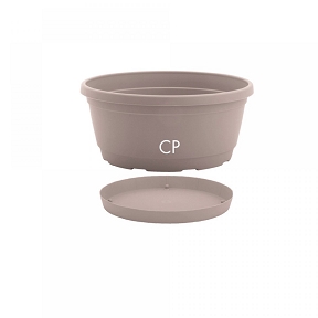 Coupe plastique rumba poudre ø35 + soucoupe