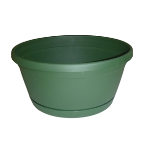 coupe plastique rumba vert fonce ø20 + soucoupe