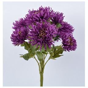 Piquet chrysanthème violet