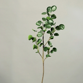Branche cotinus 99cm