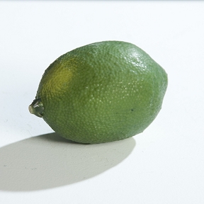 Citron vert 8.5cm