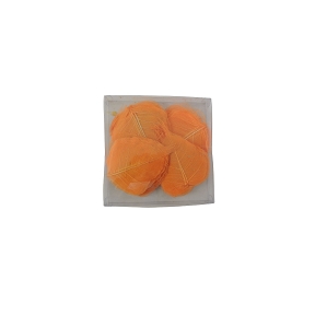 Bayan skeleton orange x 200 pcs