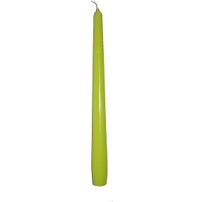 Bougie flambeau vert celadon 25cm (x 12)