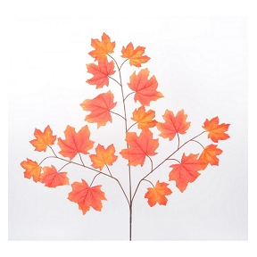 Branche feuillage automne