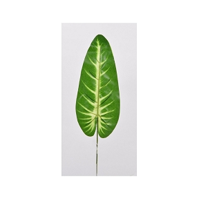 Feuille anthurium 40cm