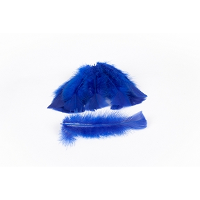 Plumes bleu 45 grs