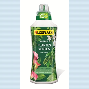 Algoflash engrais plantes vertes et fleuries 1l