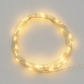 Guirlande 40 micro leds blanc chaud fil argent x 4m