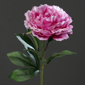 Pivoine lavande 63 cm