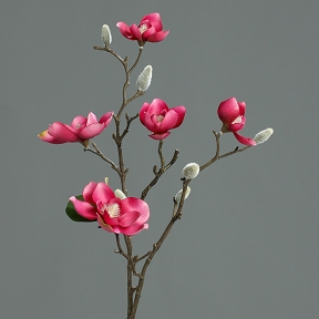 Magnolia 5 fleurs fuchsia 64 cm