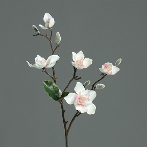 Magnolia 5 fleurs rose-crème 64cm