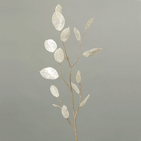 Branche lunaria 86cm