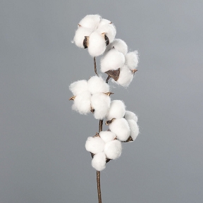 Branche Coton 49cm