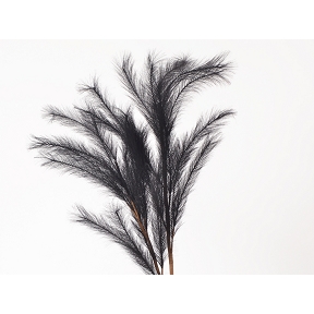 Branche plumes noires