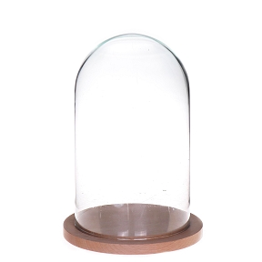 Cloche verre sur socle ø14 ht 25cm