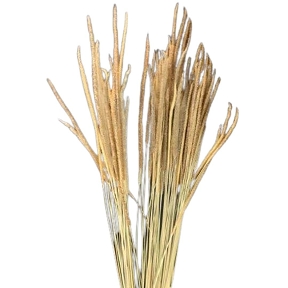 Phleum naturel 100grs