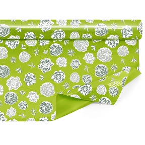 Bobine Clayrbrill Noemie Vert 0.80 X 40m