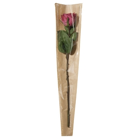 Etui a rose kraft naturel 55 x 12 x 3 (x50)