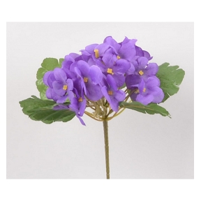 Piquet saint paulia violet